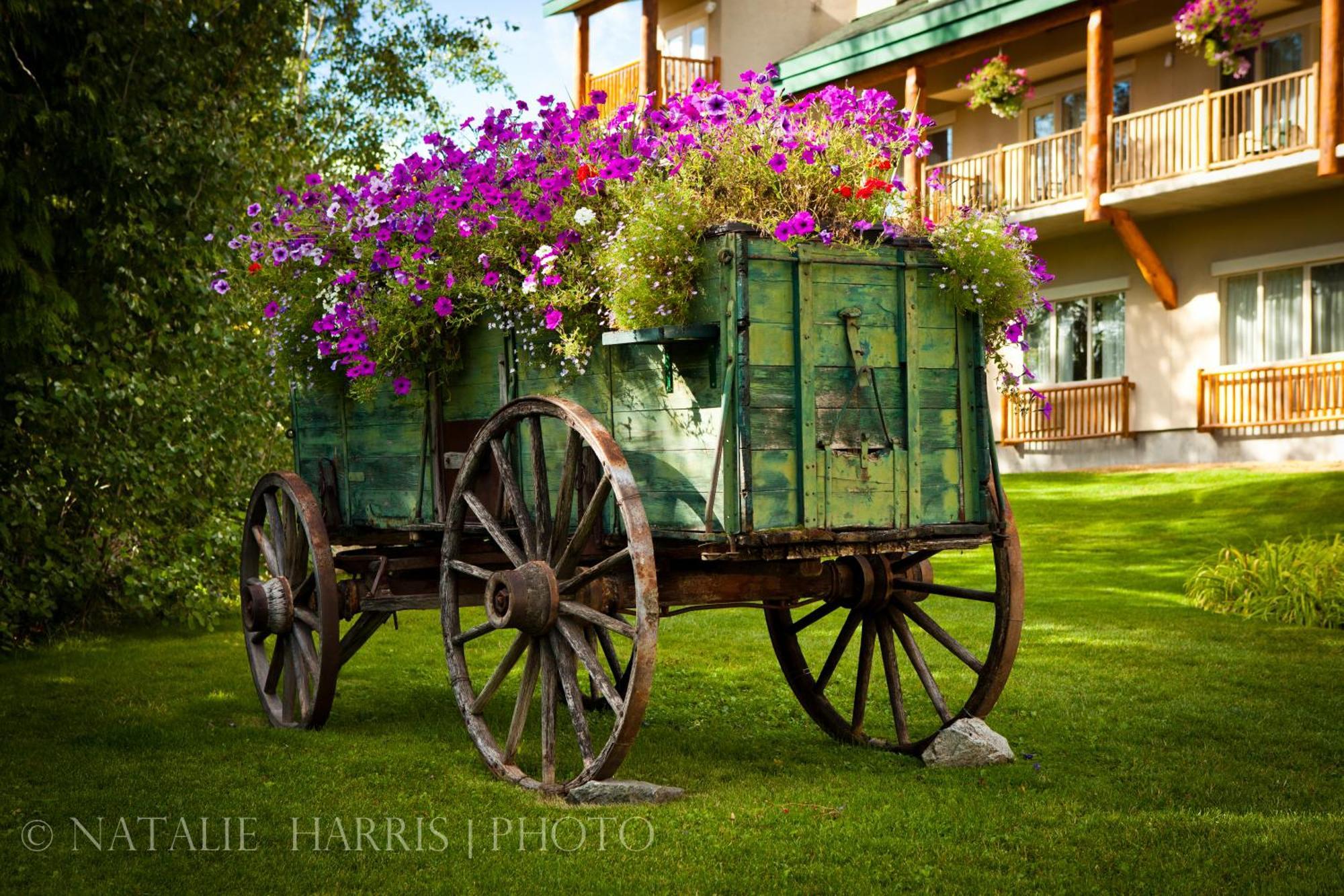 Coast Hillcrest Hotel Revelstoke Exteriér fotografie